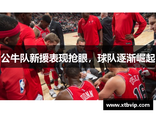 公牛队新援表现抢眼，球队逐渐崛起