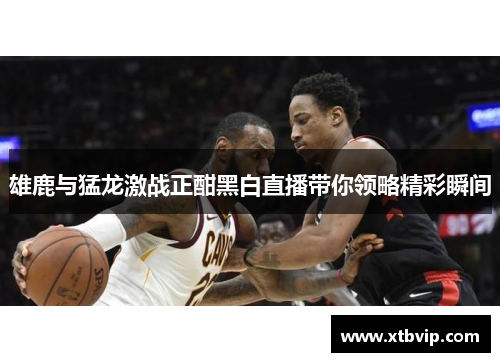 雄鹿与猛龙激战正酣黑白直播带你领略精彩瞬间